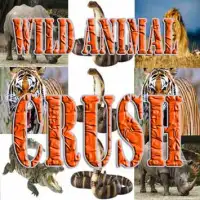Wild Animal Crush Screen Shot 0