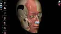 Anatomy Learning - Atlas d'anatomie 3D Screen Shot 7