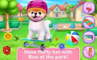 Boo - The World's Cutest Dog Screen Shot 3
