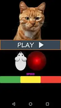 Мышка для кота. Игры для кота Screen Shot 0