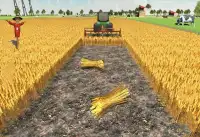 " Simulador de la agricultura d" Screen Shot 1