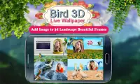 Birds 3D Live Wallpaper Screen Shot 5