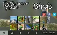 Difference Finder Birds Screen Shot 4