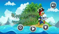 woody pirate woodpecker Adventure Screen Shot 0