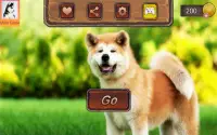 Akita Dog Simulator Screen Shot 16