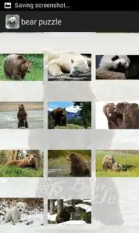 Bear Game Screen Shot 4