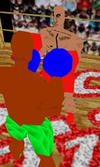 Teck Boxing 3D Screen Shot 1