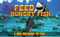 Feed Hungry Fish 3D Screen Shot 0