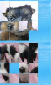 puzzle dog a(4x4) Screen Shot 1