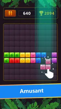 Block Jewel Puzzle Screen Shot 3