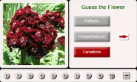 Guess the Flower: Tile Puzzles Screen Shot 0