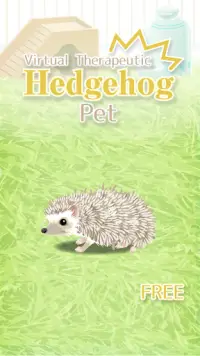 Hedgehog Pet Screen Shot 0