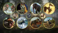 Wild Animal Hunting Adventure:Shooting Sniper Game Screen Shot 0