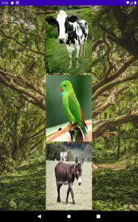 動物の音に合わせる Screen Shot 3