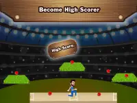 Cricket Run Screen Shot 2