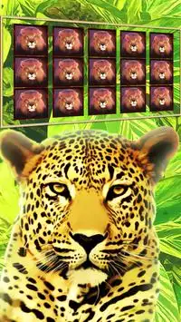 Safari Slots –  Wild Gold Lion Screen Shot 0