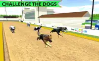 Real Dog Racing Championship Screen Shot 1