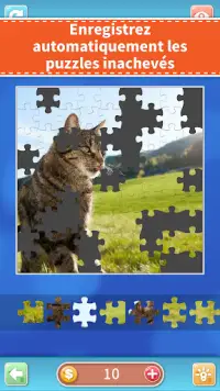 Jeu de puzzle ( Jigsaw Game ) Screen Shot 2