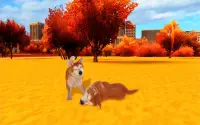 Akita Dog Simulator Screen Shot 14