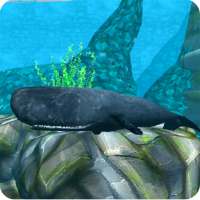 Whale Sim - Sea Eater