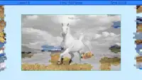 Horses Puzzle Screen Shot 4