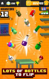 Flippy Bottle Extreme! Screen Shot 1