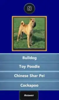 ﻿Quizup the Dog breed Screen Shot 3