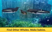 Ocean Whale Simulator Quest Screen Shot 2