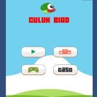 Culuk Bird