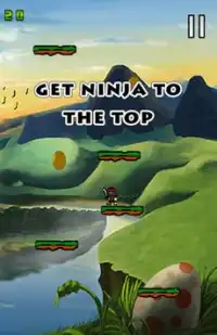 Ninja Jump Screen Shot 0