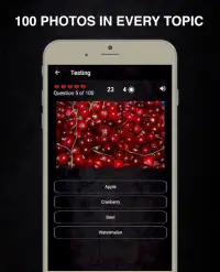 Photo Quiz - Guess the Picture: General Game Screen Shot 4