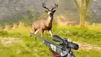 Tiere zu Jagen - Jäger Spiele Screen Shot 2