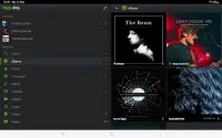 PlayerPro Music Player Screen Shot 10
