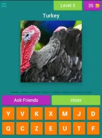 Yoruba Picture Quiz - Learn Screen Shot 17