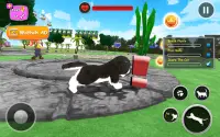 Kitten Simulator - Virtual Cat Game Screen Shot 1