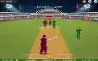 Fat Cricket Batsman Screen Shot 2