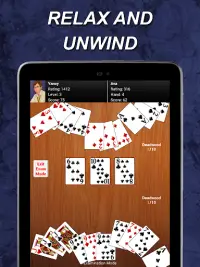 Gin Rummy Screen Shot 20