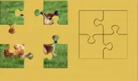 Puzzles Animales de Safari Screen Shot 1