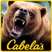 Cabela's Big Game Hunter