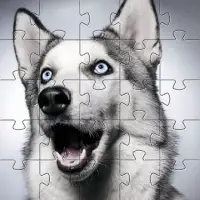 ハスキー犬ジグソーパズル無料ゲーム🧩🐕🧩🐾 Screen Shot 5