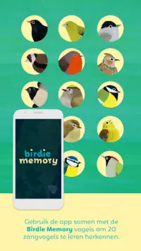 Birdie Memory Screen Shot 1
