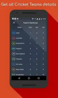 World Cricket: I.P.L T20 2017 Screen Shot 4