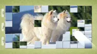 Dog Puzzles - Drag & Swap Screen Shot 5