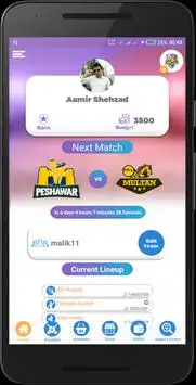 JS Apni Cricket League Screen Shot 1