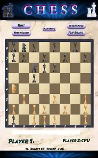 Chess Dasher Screen Shot 0