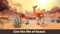 Llama Wild Life Simulator 3D Screen Shot 0