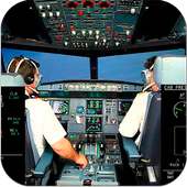 Flight Simulator Real World Pilot 3D