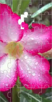Flower Puzzle - Educational Game Screen Shot 1