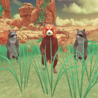 Raccoon Forest Wildlife Sim