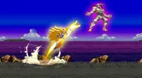DBS: Z Super Goku Battle Screen Shot 4